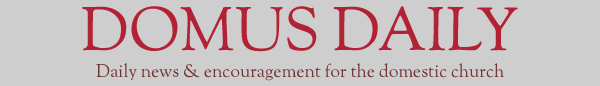 Domus Daily